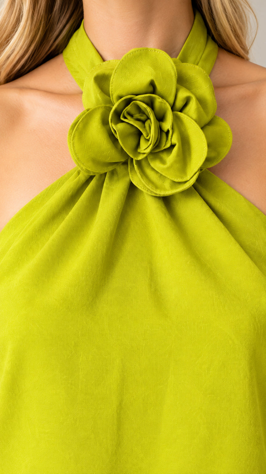 Close-up detail of Lime Green halter collar with 3D fabric rosette flower